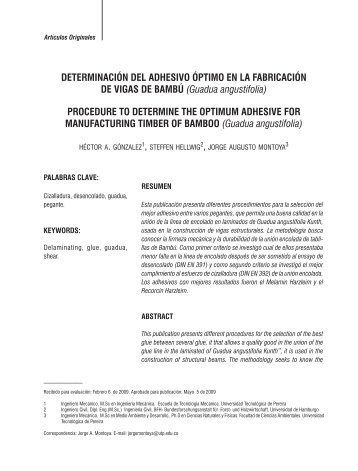 DETERMINACIóN DEL ADHESIVO óPTIMO EN LA FABRICACIóN ...