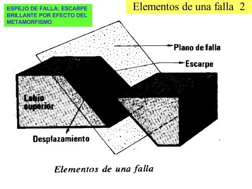 ESFUERZOS Y DEFORMACIONES - IES Ramon Llull