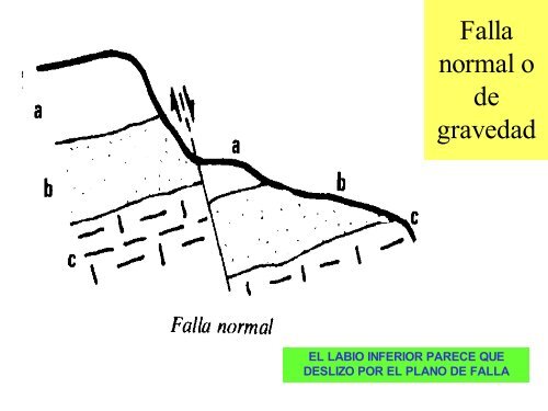 ESFUERZOS Y DEFORMACIONES - IES Ramon Llull