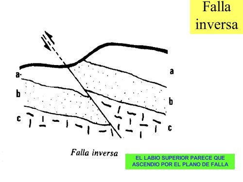 ESFUERZOS Y DEFORMACIONES - IES Ramon Llull