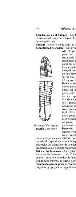 report ; sportfish disease and parasite project - Uprm.edu