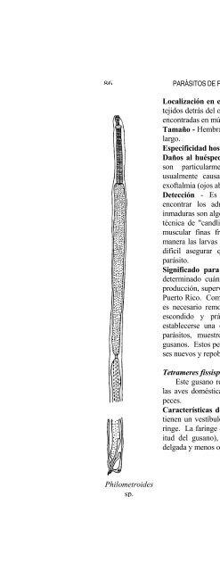 report ; sportfish disease and parasite project - Uprm.edu