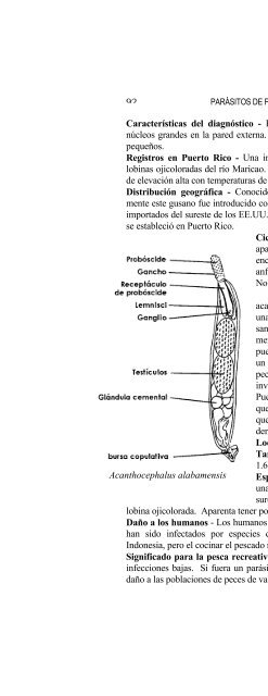 report ; sportfish disease and parasite project - Uprm.edu