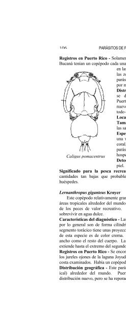 report ; sportfish disease and parasite project - Uprm.edu