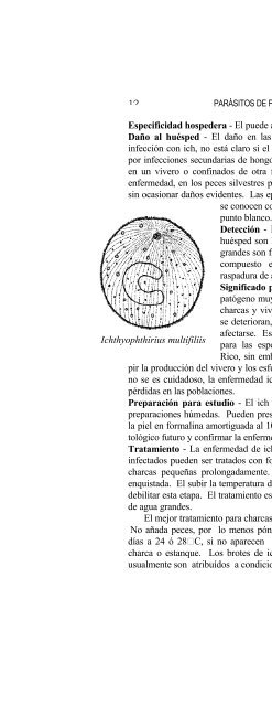 report ; sportfish disease and parasite project - Uprm.edu