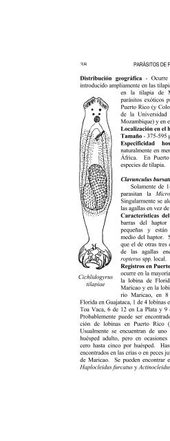 report ; sportfish disease and parasite project - Uprm.edu