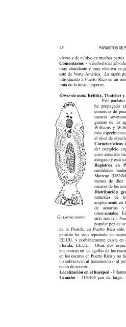 report ; sportfish disease and parasite project - Uprm.edu