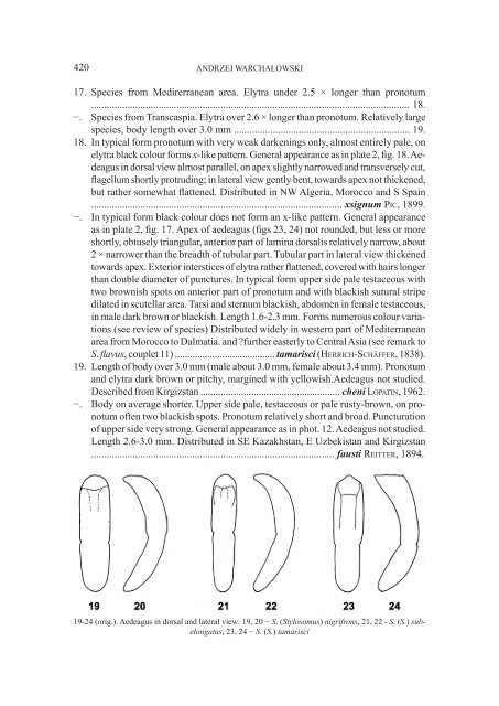 A preliminary study and review of the genus Stylosomus SUFFRIAN ...