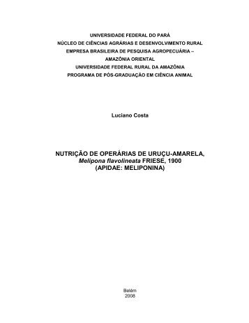 NUTRIÇÃO DE OPERÁRIAS DE URUÇU-AMARELA, Melipona ...
