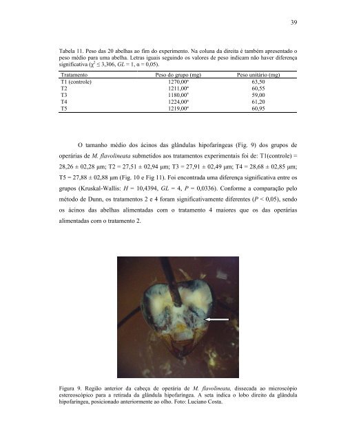 NUTRIÇÃO DE OPERÁRIAS DE URUÇU-AMARELA, Melipona ...