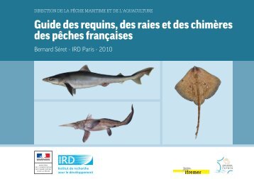 Guide raies-requins