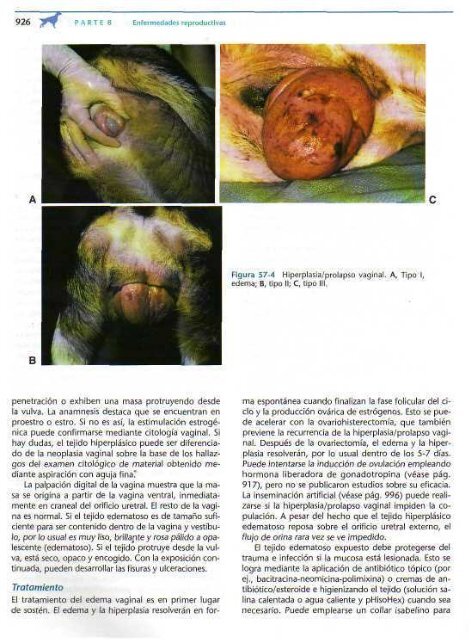 591 2697 Medicina In.. - Facultad de Ciencias Veterinarias - UAGRM