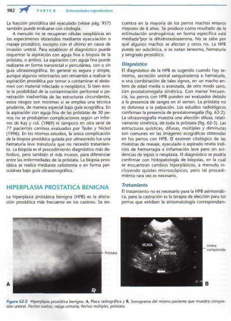 591 2697 Medicina In.. - Facultad de Ciencias Veterinarias - UAGRM