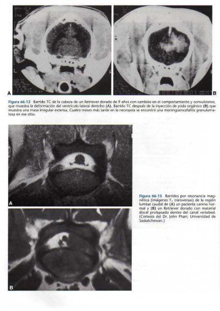 591 2697 Medicina In.. - Facultad de Ciencias Veterinarias - UAGRM