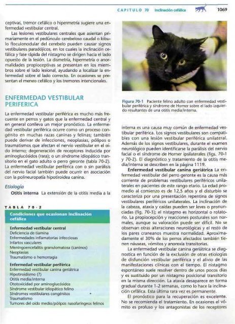 591 2697 Medicina In.. - Facultad de Ciencias Veterinarias - UAGRM