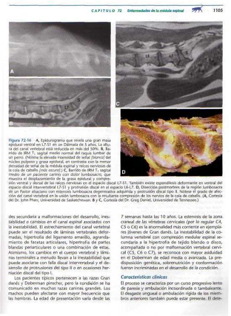 591 2697 Medicina In.. - Facultad de Ciencias Veterinarias - UAGRM