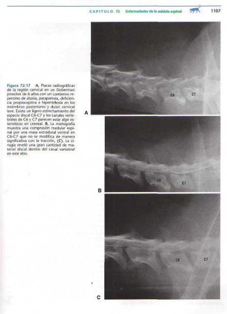 591 2697 Medicina In.. - Facultad de Ciencias Veterinarias - UAGRM