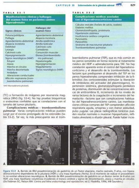 591 2697 Medicina In.. - Facultad de Ciencias Veterinarias - UAGRM