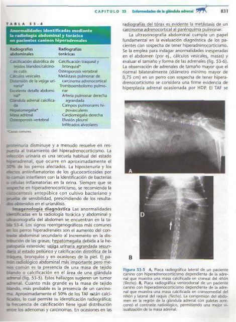 591 2697 Medicina In.. - Facultad de Ciencias Veterinarias - UAGRM