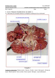 actdiscer1AA.pdf