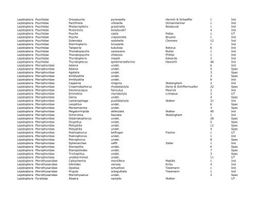 Lepidoptera as of 2005