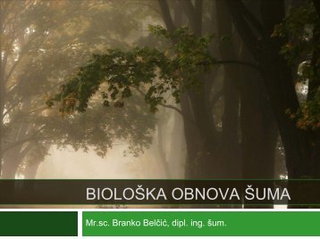 BIOLOŠKA OBNOVA ŠUMA