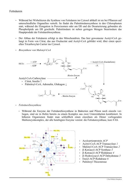 Vorlesung Pharmazeutische Biologie Derivate des ...