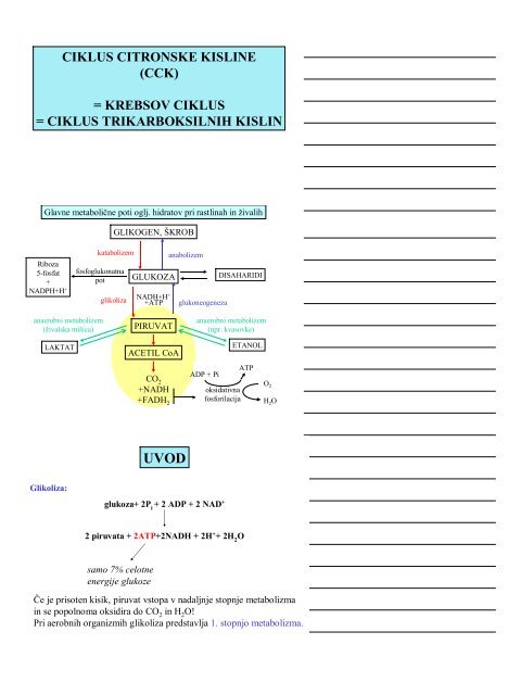 CIKLUS CITRONSKE KISLINE (CCK) = KREBSOV CIKLUS ...