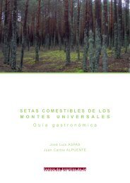 Setas comestibles de los Montes Universales - cecal