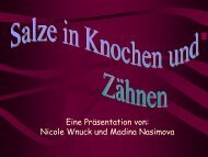 3. Magnesium und Calcium in Knochen und Zaehnen