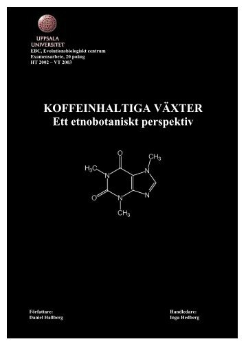 KOFFEINHALTIGA VÄXTER Ett etnobotaniskt perspektiv