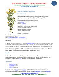 Plantas Medicinales Wikipedia Gran Fratervidad Tao Gnostica