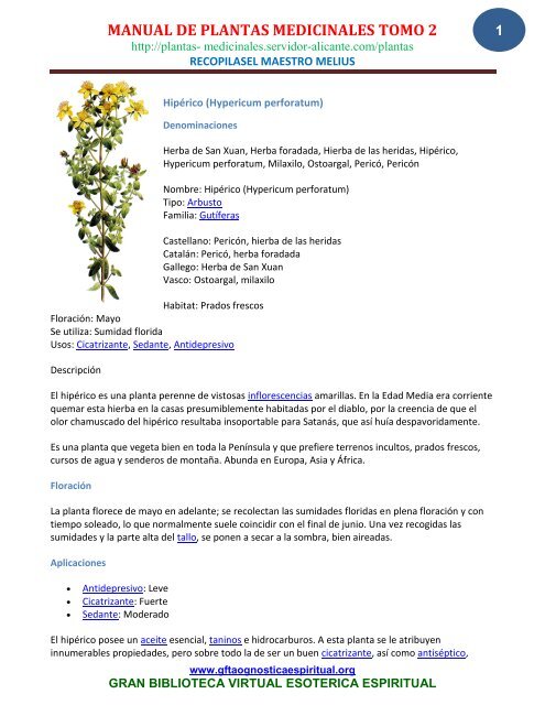 manual de plantas medicinales tomo 2 - Gran Fratervidad Tao ...