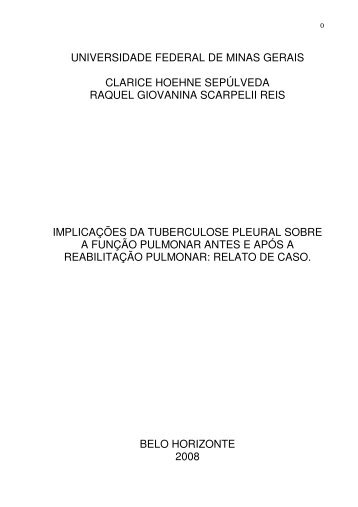 universidade federal de minas gerais clarice hoehne sepúlveda ...