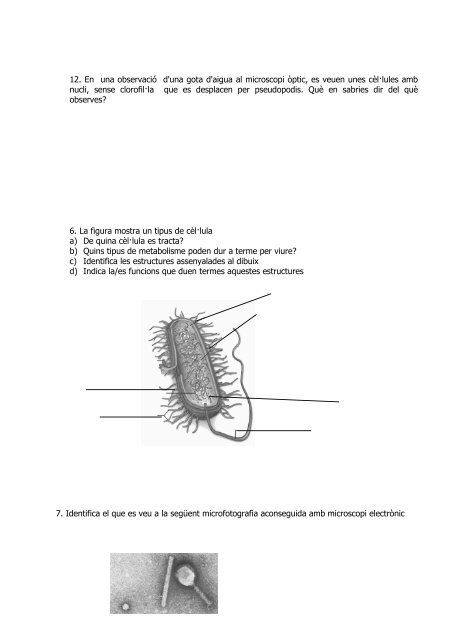 Exemples de Preguntes Aplicades PAU biología, UIB BLOC ...