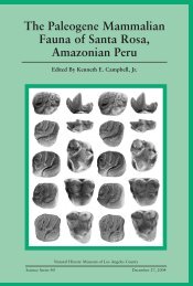 The Paleogene Mammalian Fauna of Santa Rosa, Amazonian Peru