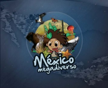 México México