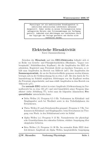 Elektrische Hirnaktivität