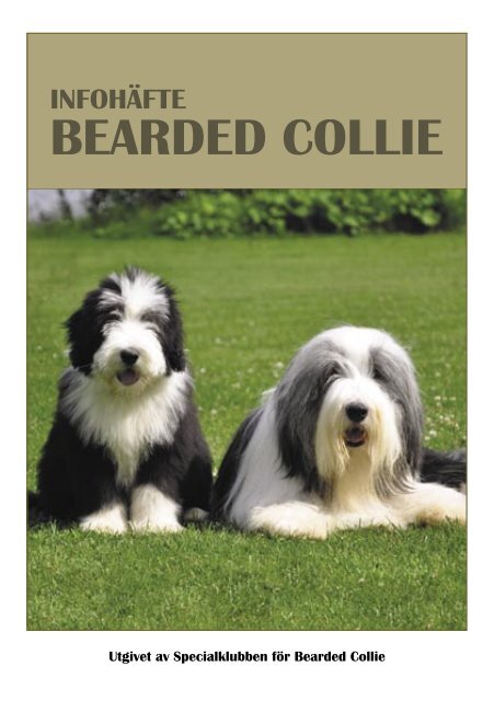 Infohäfte SBC.indd - Specialklubben för Bearded Collie