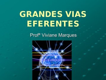 GRANDES VIAS EFERENTES - VivianeMarques.com.br