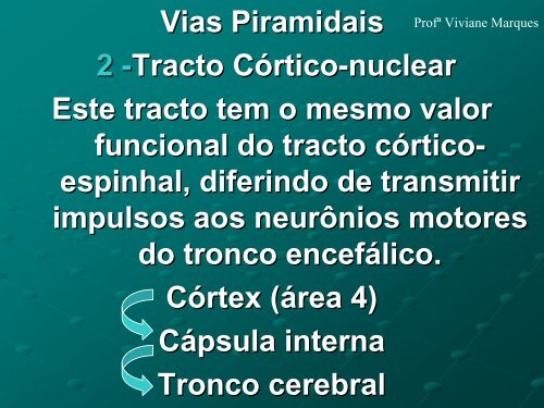 GRANDES VIAS EFERENTES - VivianeMarques.com.br