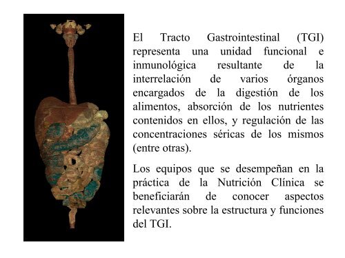 Tracto Gastrointestinal. Fisiología e Inmunología Aplicadas