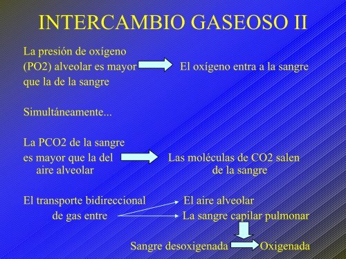 C4 APARATO RESPIRATORIO.pdf