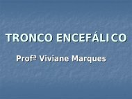TRONCO ENCEFÁLICO - VivianeMarques.com.br