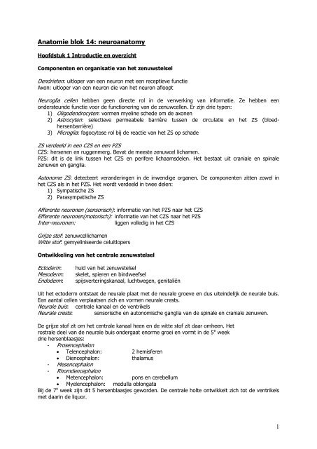 Anatomie blok 14: neuroanatomy