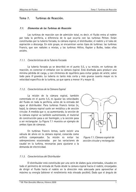 Tem a 7. Turbinas de Reacción.