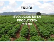 Evolución en la producción de frijol