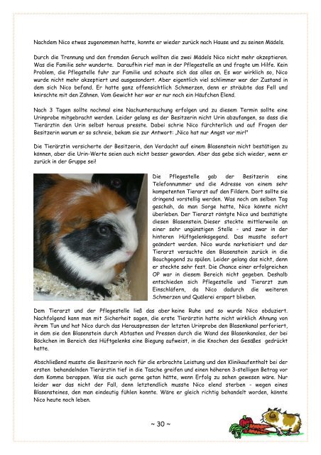 Festschrift 2010 - 10 Jahre MSH - Meerschweinchenhilfe eV