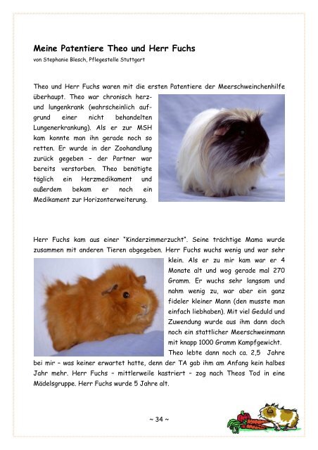 Festschrift 2010 - 10 Jahre MSH - Meerschweinchenhilfe eV