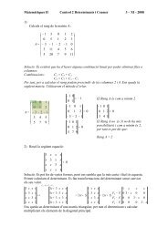 Solució control determinants